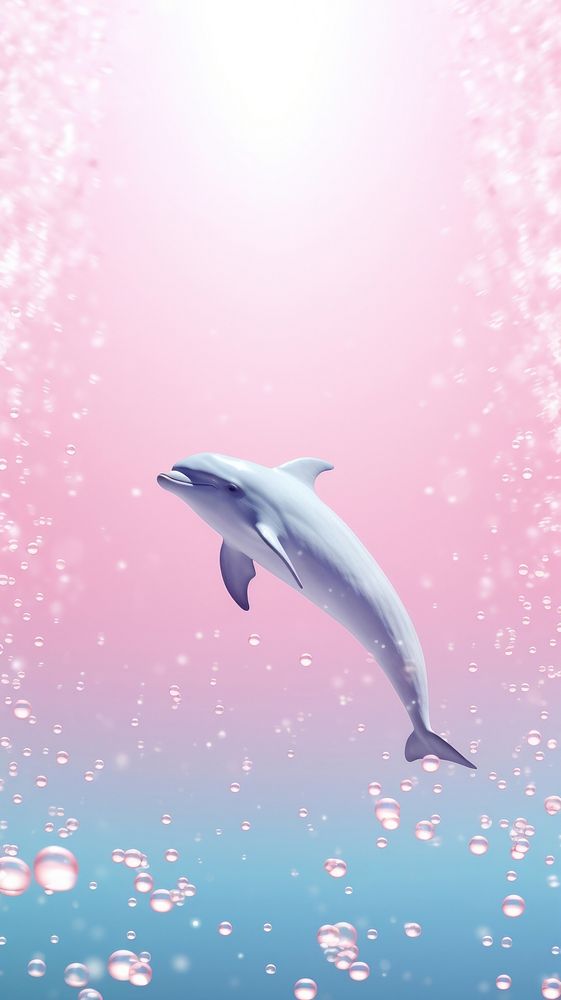 Cute Dolphin dreamy wallpaper dolphin animal mammal.