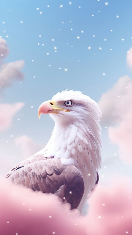 Cute Eagle dreamy wallpaper animal outdoors eagle.