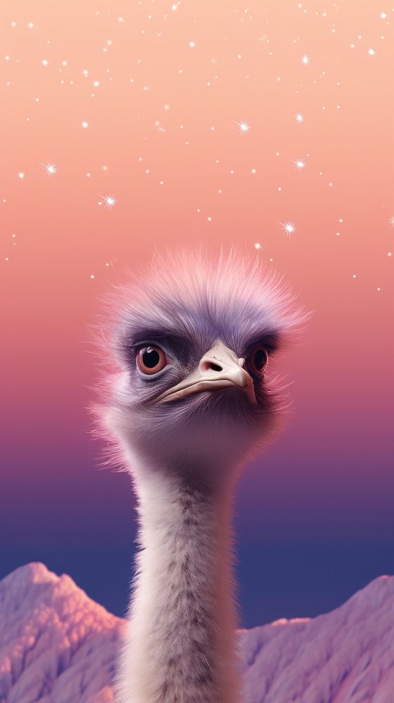 Cute Emu dreamy wallpaper animal wildlife ostrich.
