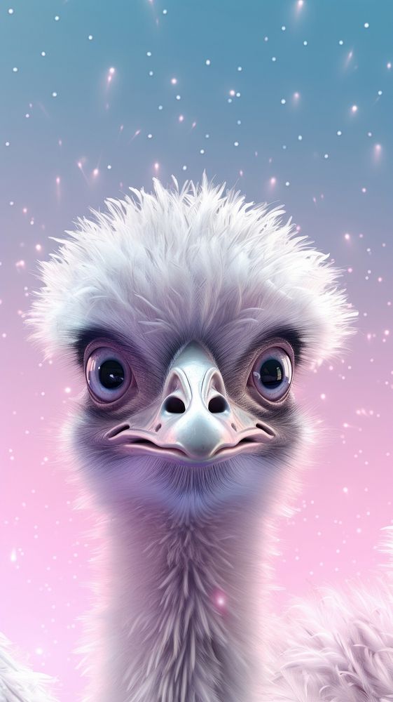 Cute Emu dreamy wallpaper animal bird beak.