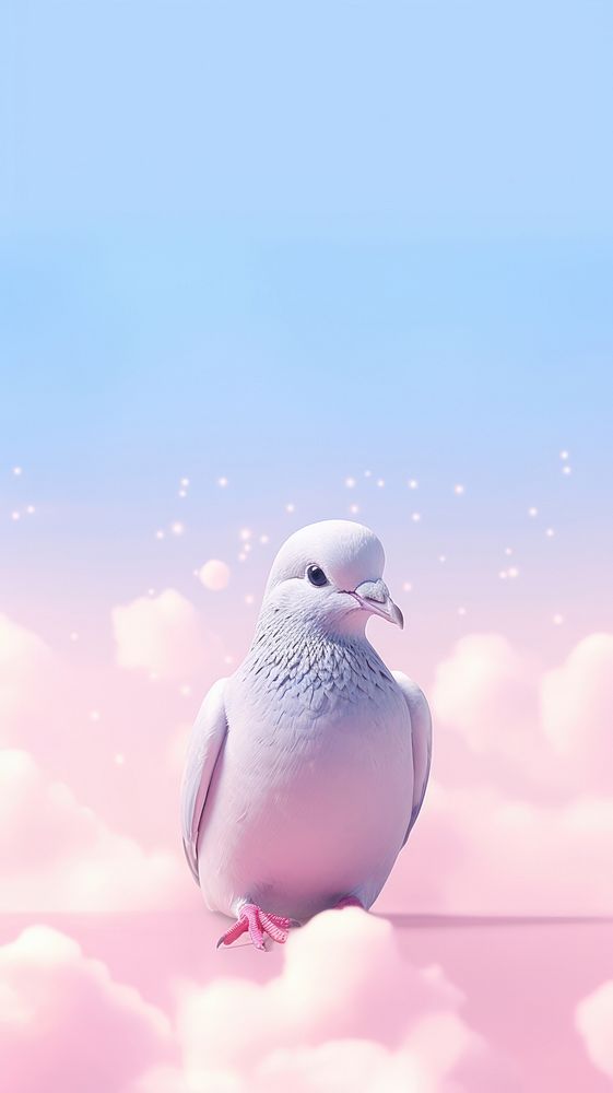 Cute Pigeon dreamy wallpaper animal cartoon pigeon.