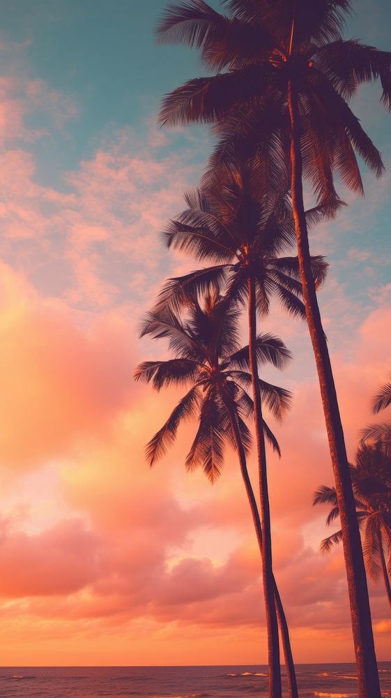 Palm trees on pastel tropical ocean outdoors horizon nature.