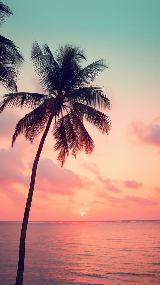Palm trees on pastel tropical ocean outdoors horizon tropics.