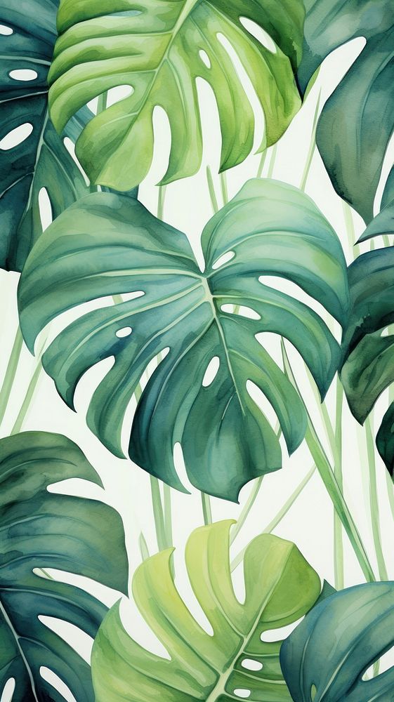 Green monstera pattern plant leaf backgrounds.