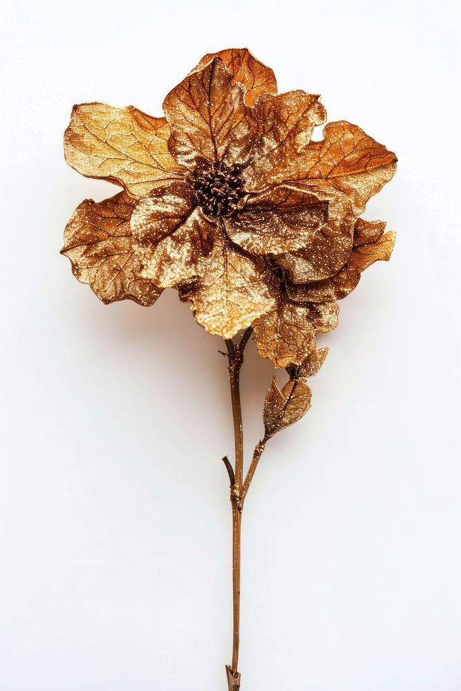 Dried flower brooch plant leaf.