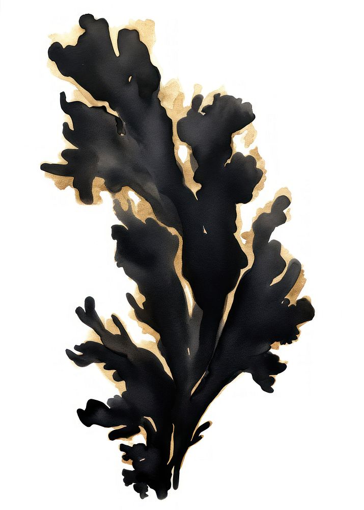 Black color coral seaweed ink white background.
