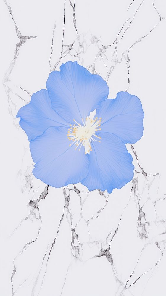 Blue flower marble wallpaper backgrounds pattern drawing.