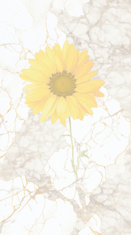 Sunflower marble wallpaper backgrounds abstract pattern.