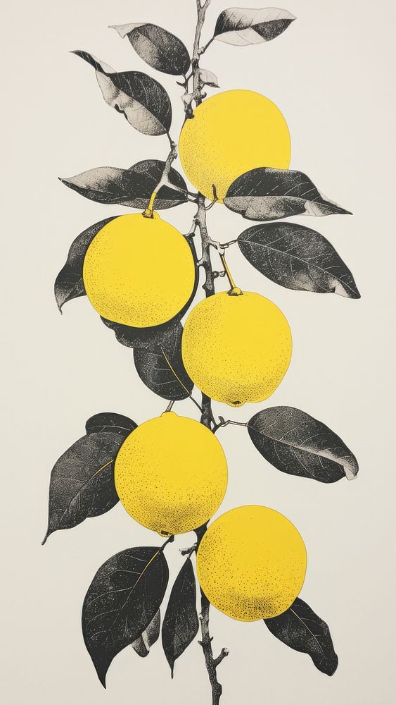 Longan yellow lemon fruit.