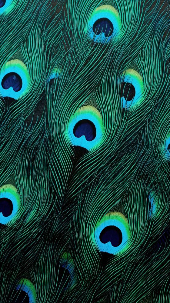 Peacock feathers pattern textured wildlife green.