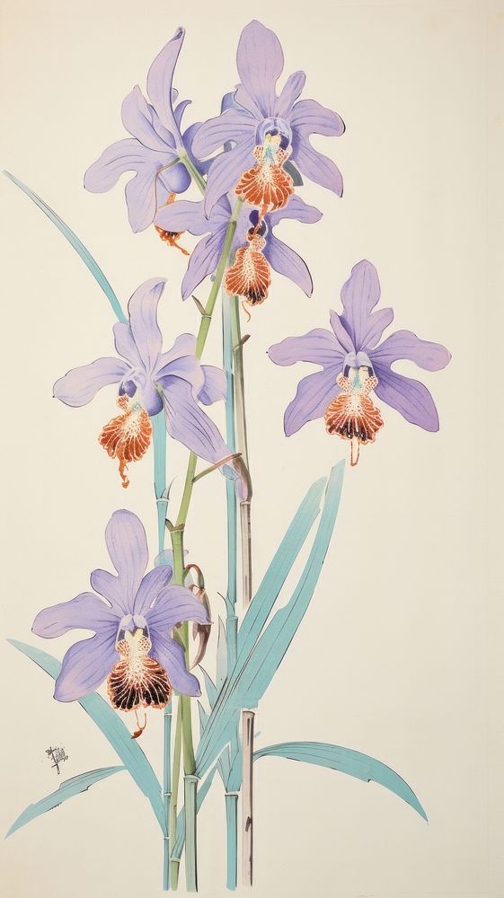 Traditional japanese orchid flower plant art inflorescence.