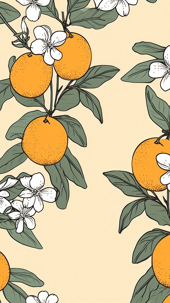 Oranges pattern plant fruit.