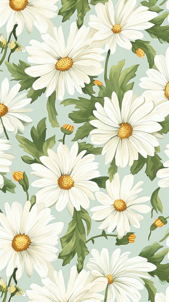 Daisy summer wallpaper pattern flower plant.