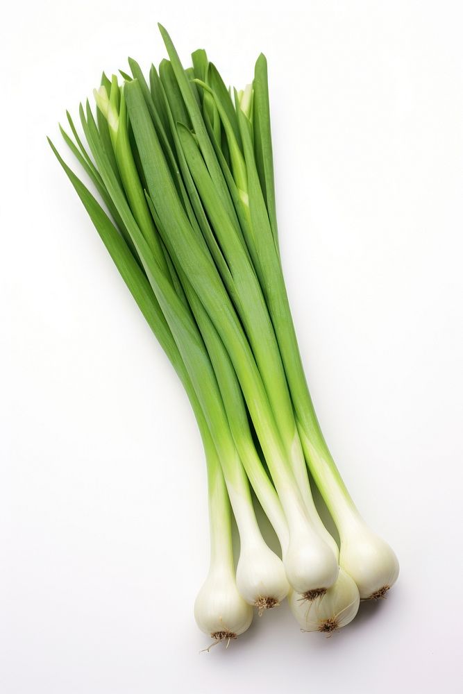 Green onions vegetable plant food.