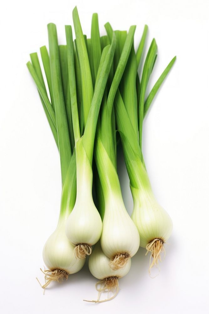 Green onions vegetable plant food.