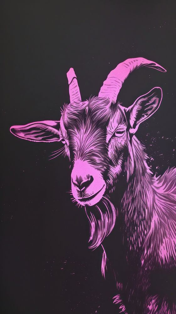 Silkscreen on paper of a goat livestock animal mammal.