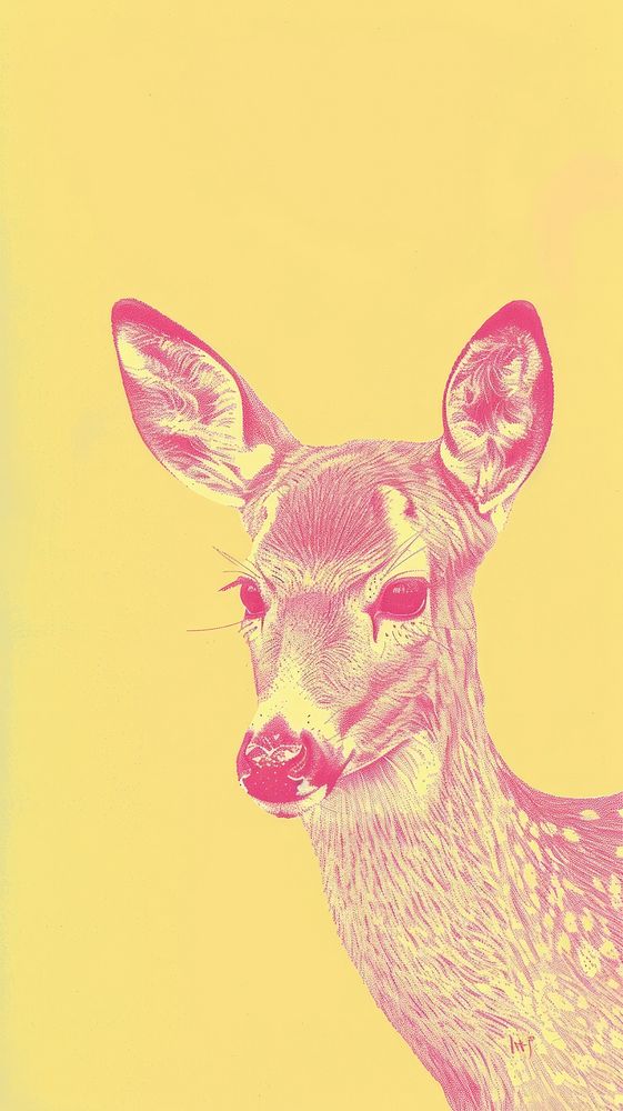 Silkscreen on paper of a deer wildlife drawing animal.