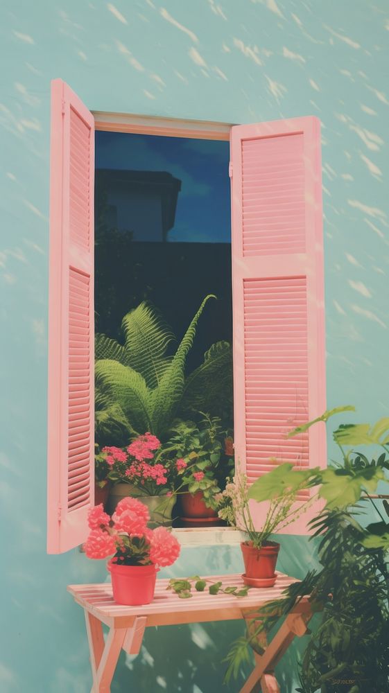 Window window shutter flower.