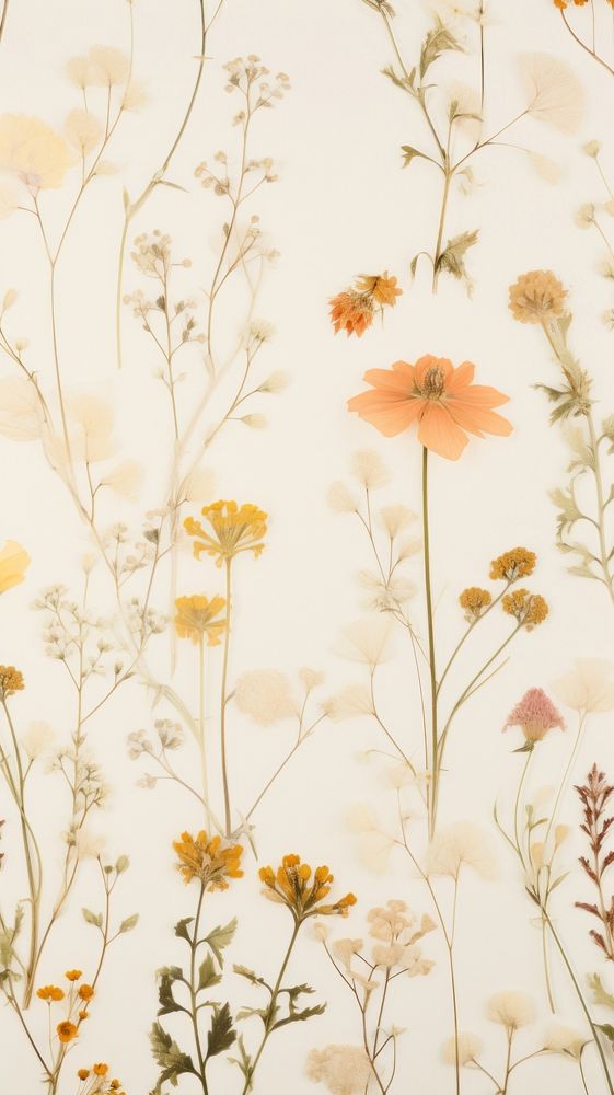 Real pressed wild flowers backgrounds wallpaper pattern.