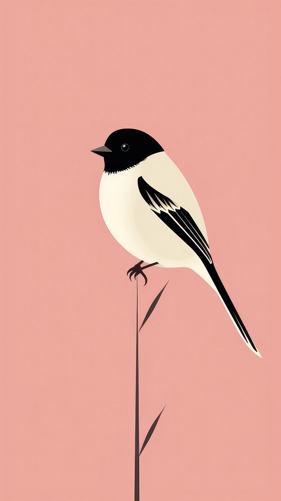 Sparrow sticker animal bird songbird.