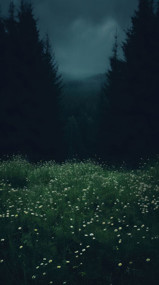 Dark aesthetic meadow wallpaper grassland outdoors woodland.
