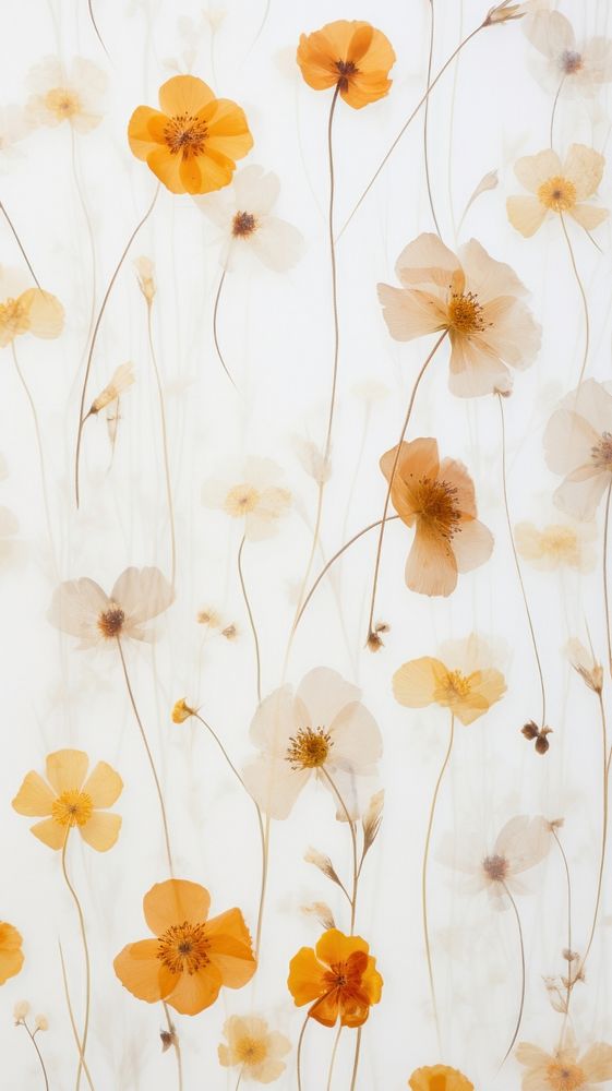 Beautiful pressed flowers wallpaper backgrounds pattern petal.