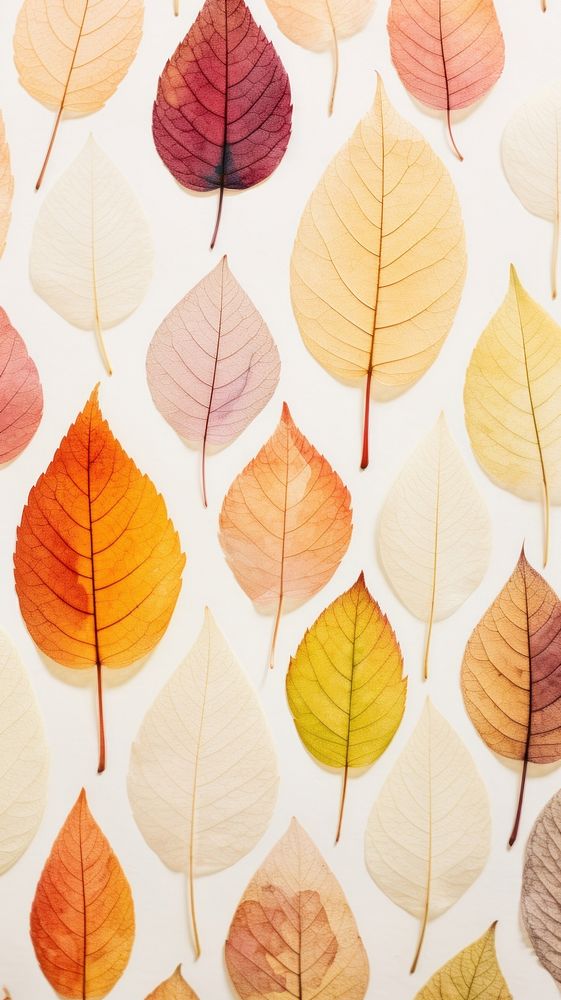 Colorful pressed leaves wallpaper backgrounds textured pattern.