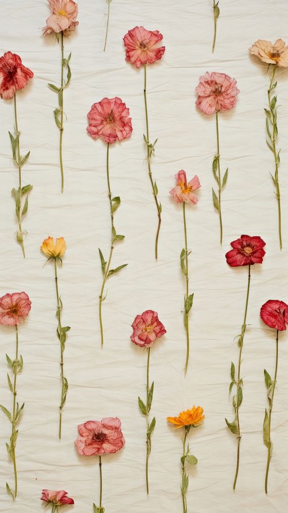 Pressed moss roses wallpaper flower backgrounds pattern.