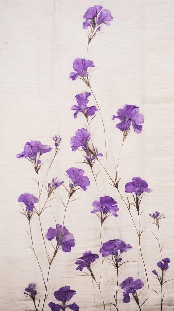 Real pressed mini purple flowers petal plant wall.