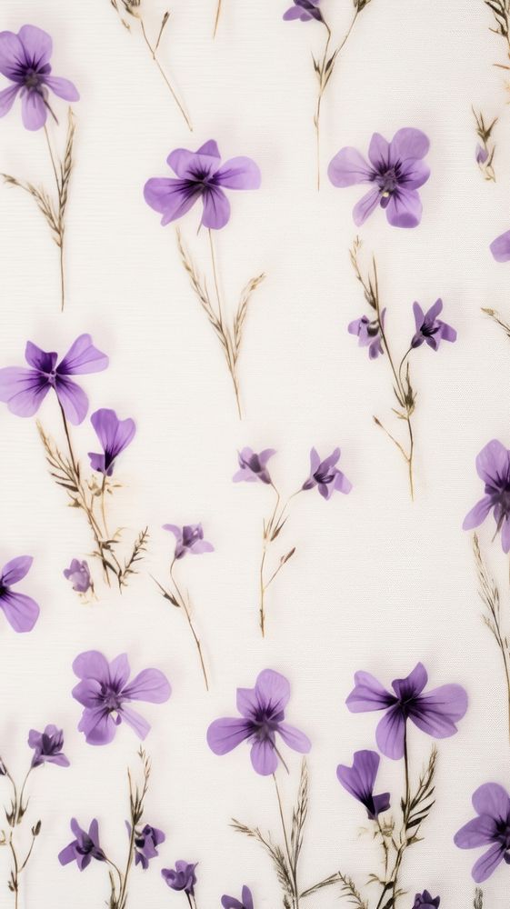 Real pressed mini purple flowers backgrounds lavender pattern.