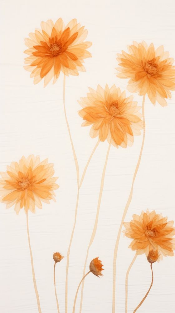 Pressed orange dahlias wallpaper flower backgrounds pattern.
