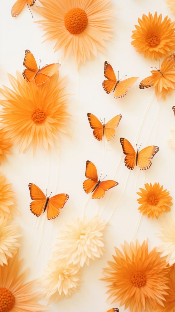 Flower backgrounds butterfly animal.