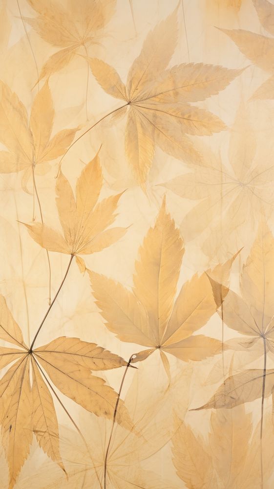 Pressed canabis leaves wallpaper backgrounds textured plant.