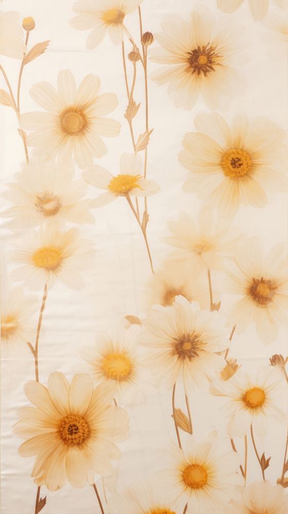 Pressed daisies wallpaper flower backgrounds pattern.