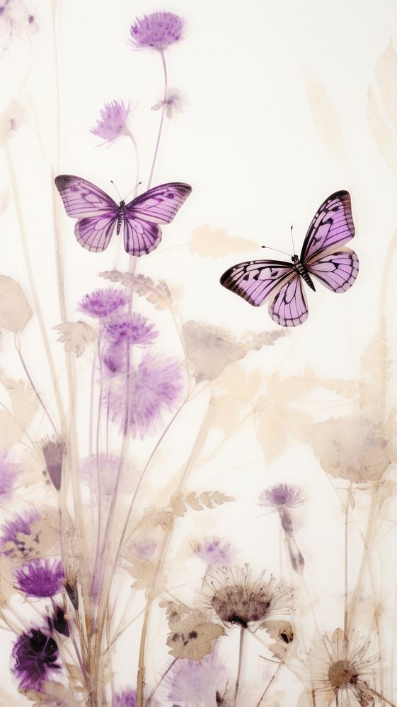 Flower purple butterfly animal.