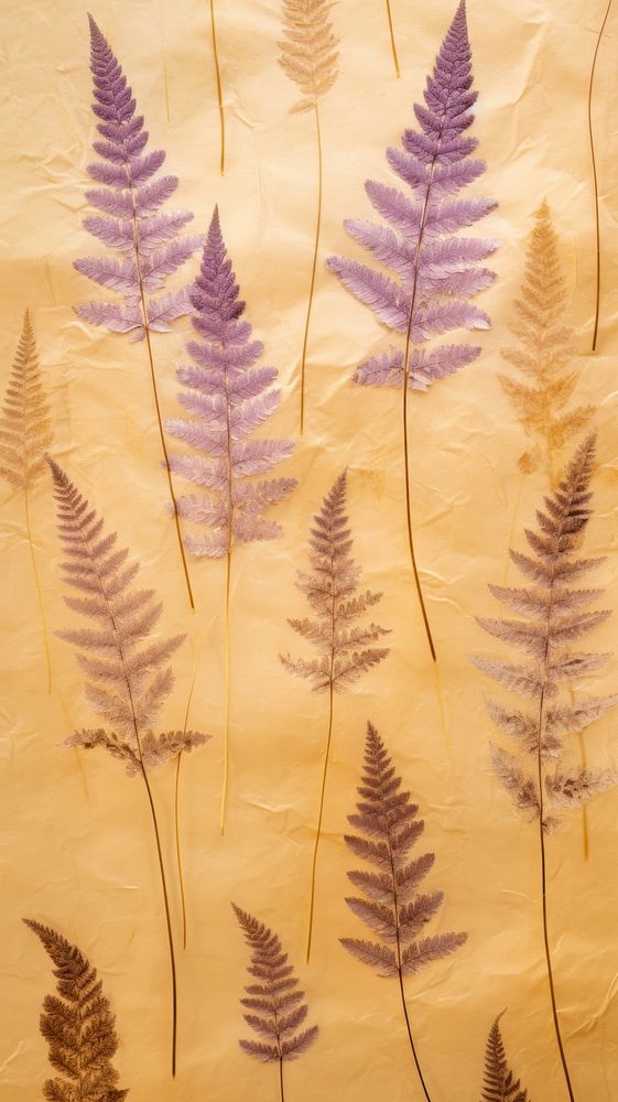 Real pressed fern lavender field flower backgrounds textured plant.