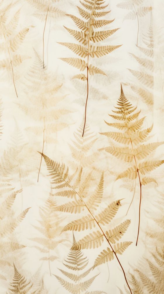 Pressed ferns wallpaper backgrounds textured plant.