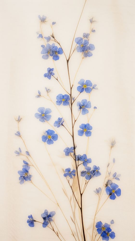 Forget me not wallpaper flower pattern plant.