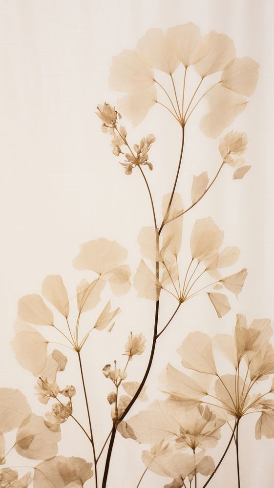 Pressed hygrangeas wallpaper flower pattern plant.