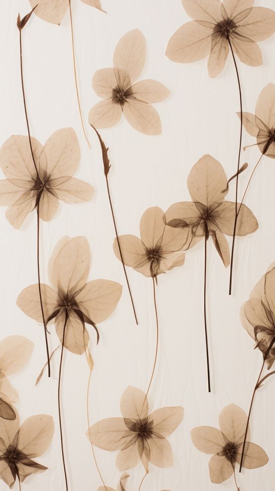 Pressed hygrangeas wallpaper flower backgrounds pattern.