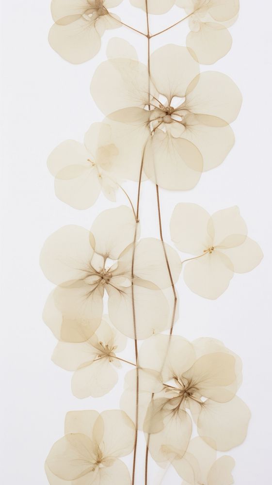 Pressed hortensia wallpaper flower plant chandelier.