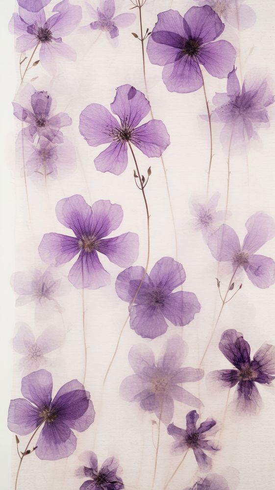 Real pressed purple flowers backgrounds petal plant.