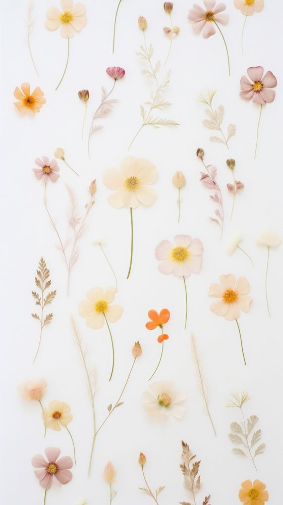 Pressed pastel flowers wallpaper backgrounds pattern plant.