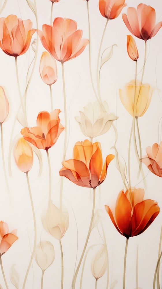 Real pressed tulip field flowers backgrounds wallpaper pattern.