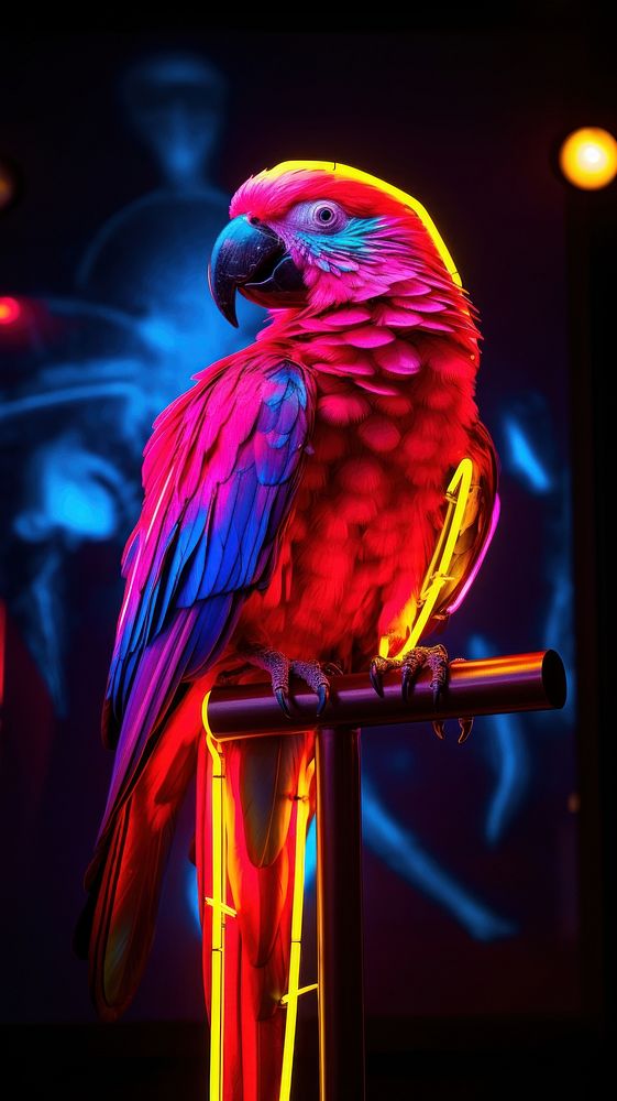 Parrot neon sign wallpaper animal bird illuminated.