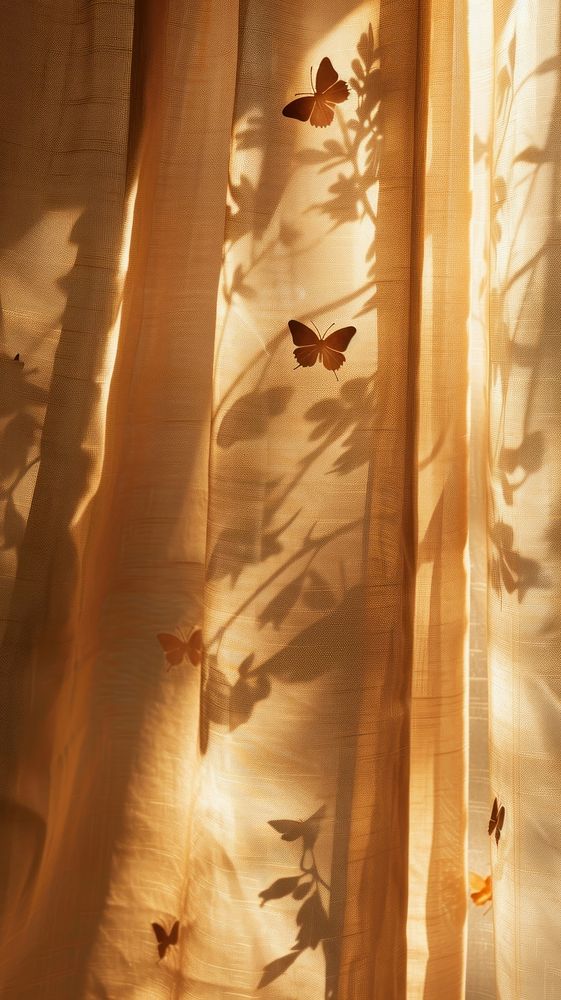 Shadow of butterfly under the curtain backgrounds sunlight lighting.