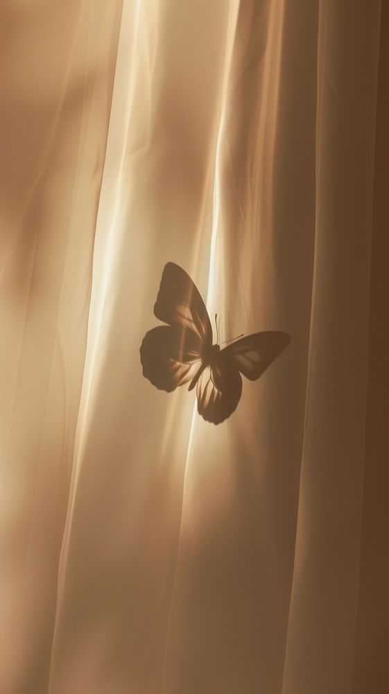 Shadow of butterfly under the curtain petal backlighting fragility.