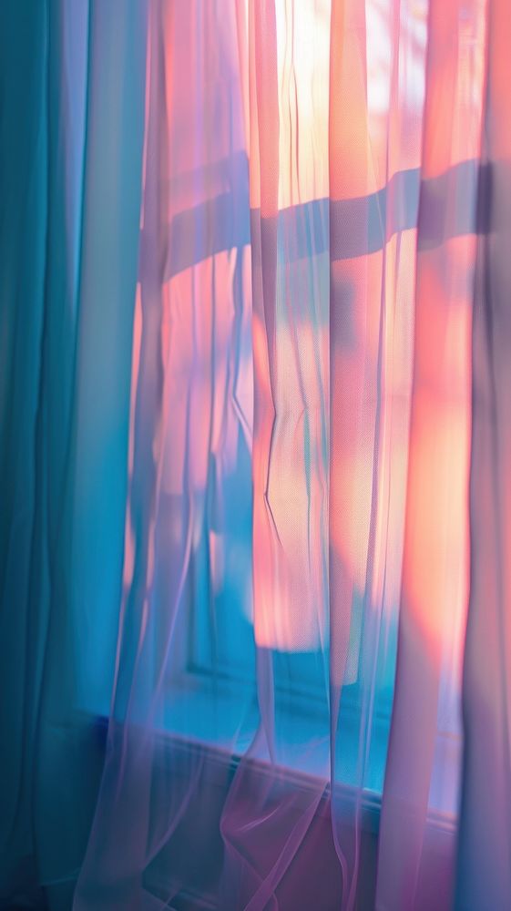 Hadow of cat under the curtain blue pink red.