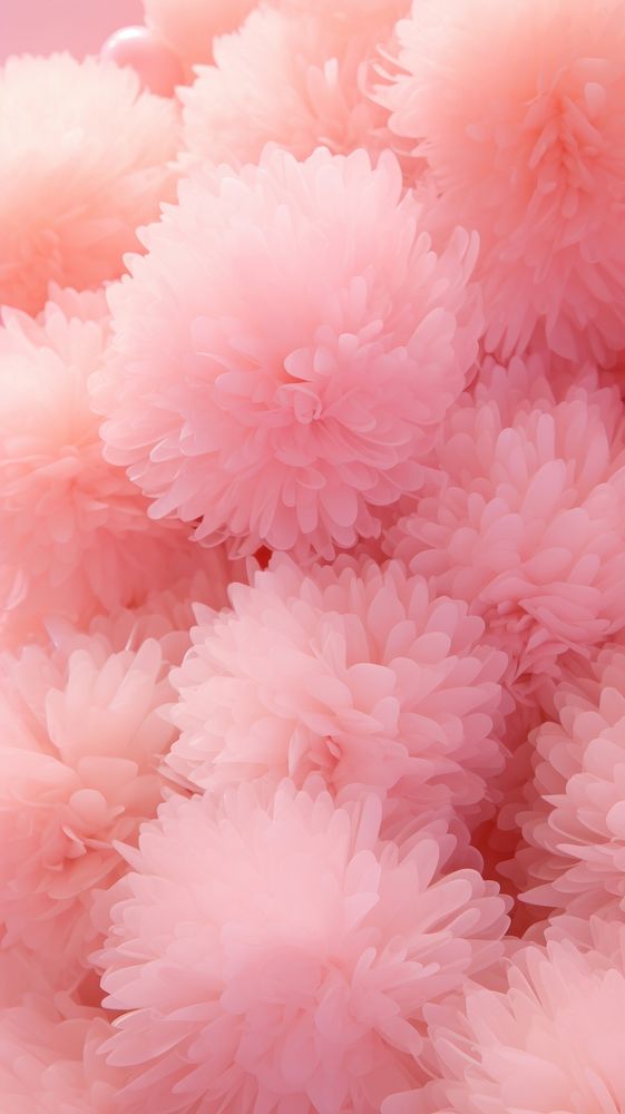 Pink coral glister flower petal plant.