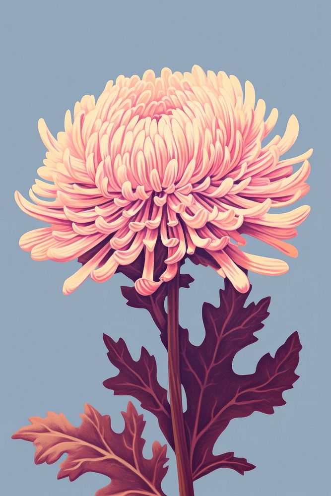 Ukiyo-e art print style Chrysanthemum flower chrysanths dahlia.